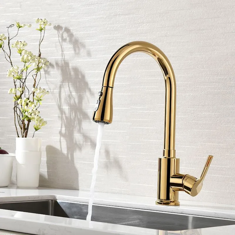 Modern Single Hole Single Handle Kitchen Faucet Pull Out Sprayer Solid Brass in Gold