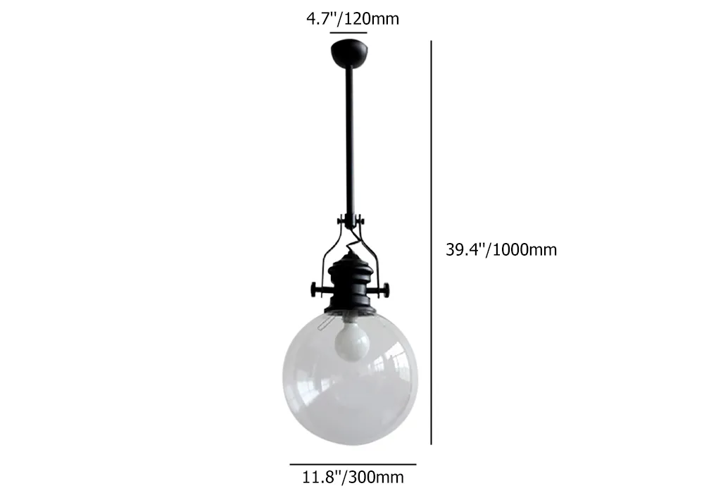 Modern 1-Light Pendant Light Clear Glass Globe Shape Black Metal