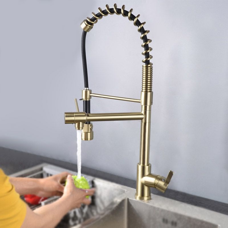Pull Out Dual Spout Kitchen Tap Brushed Gold Dual Function Sprayer