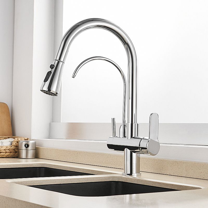 Water Filter Kitchen Tap Pull Out Tap in Polished Chrome Solid Brass