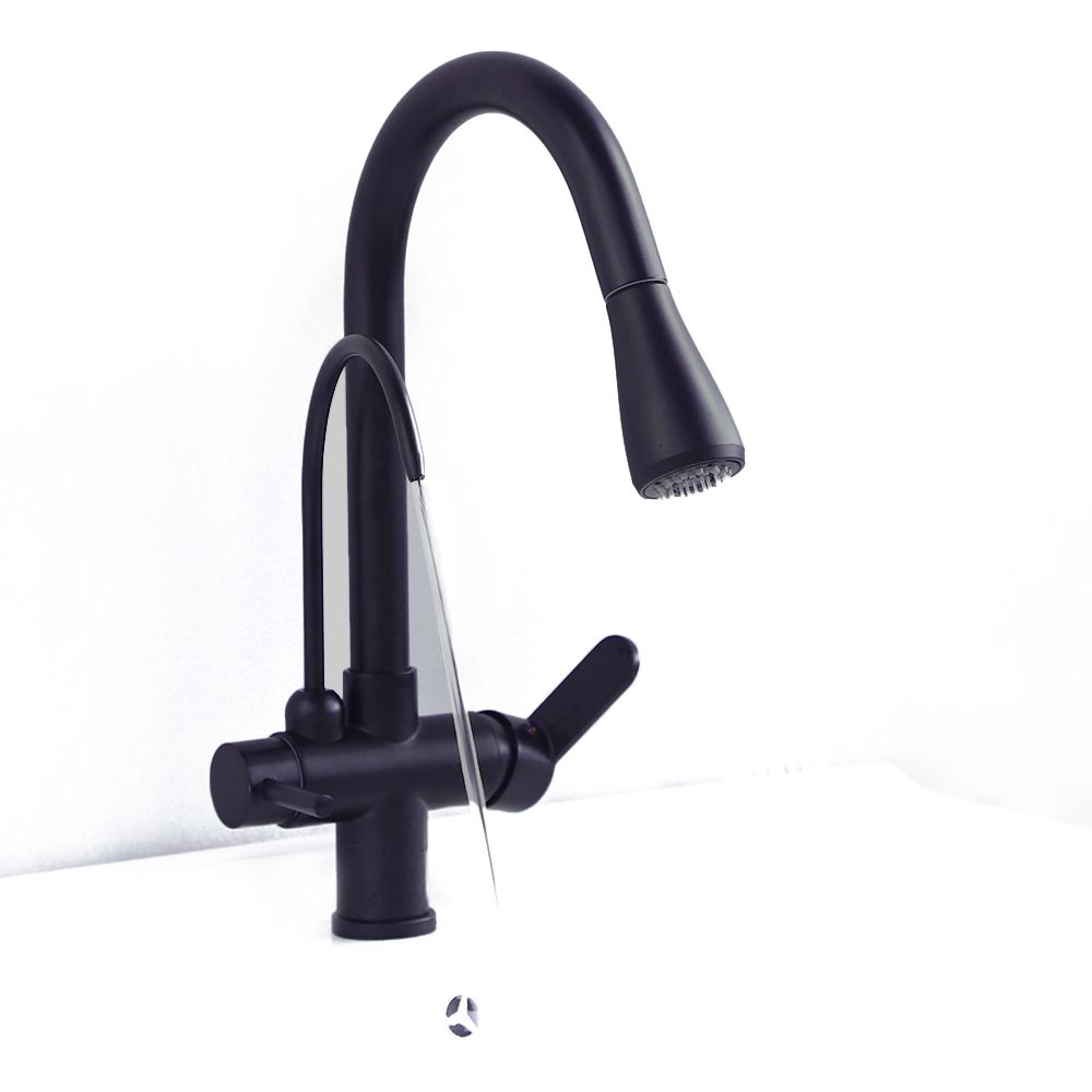 Water Filter Kitchen Faucet Pull Out Faucet in Matte Black Swirling