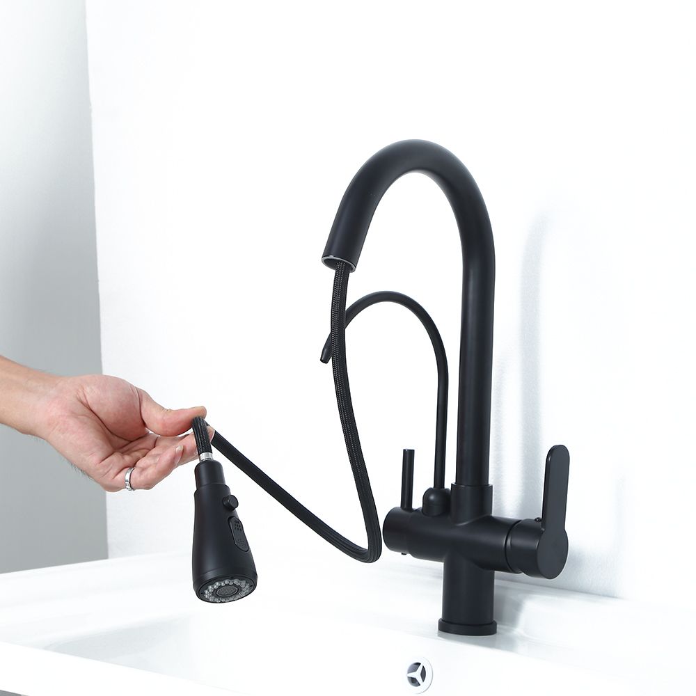 Water Filter Kitchen Tap Pull Out Tap in Matte Black Swivel Tap Solid Brass