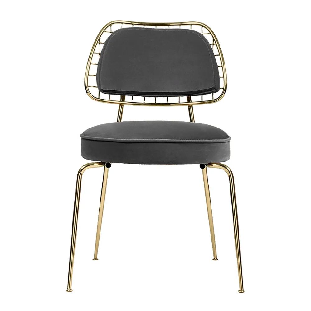 Gray Modern Gold Dining Chair Velvet Upholstered Dining Chair in Gold