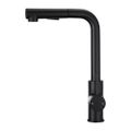 Single Handle Pull Out Kitchen Tap 1-Hole Black Solid Brass Watermark