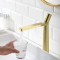 Modern Monobloc Single Knob Brass Bathroom Basin Tap
