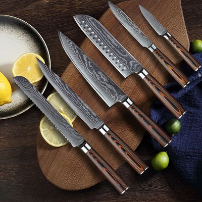 6 Pieces Knife Set Damascus Steel Knives with Wooden Handles-Homary