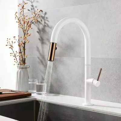 Dual-Function Single Handle Pull-Out Sprayer Single Hole Goose Neck Kitchen Faucet