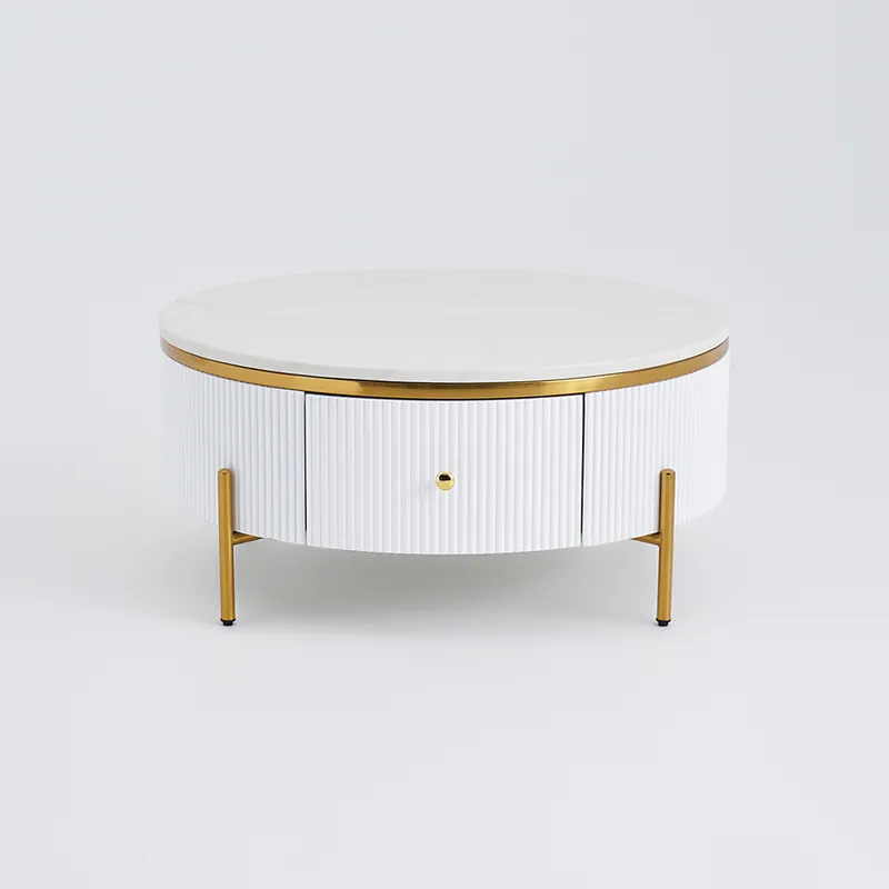 Yelly Modern Round Coffee Table with Storage Marble Accent Table Stainless Steel in Gold