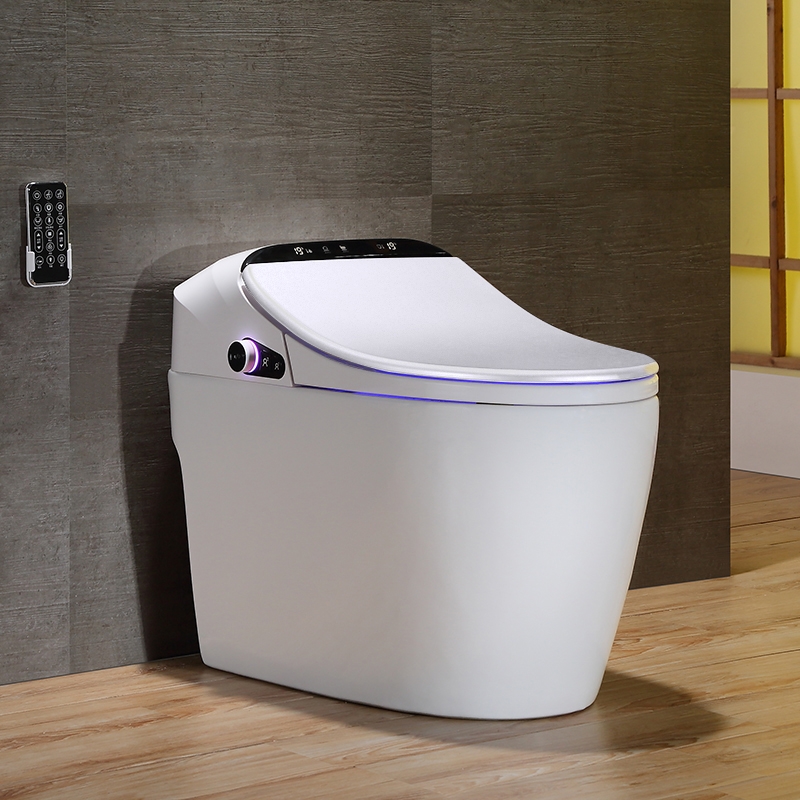 Modern Smart One-piece 1.27 Gpf Floor Mounted Elongated Toilet And Bidet With Seat In White