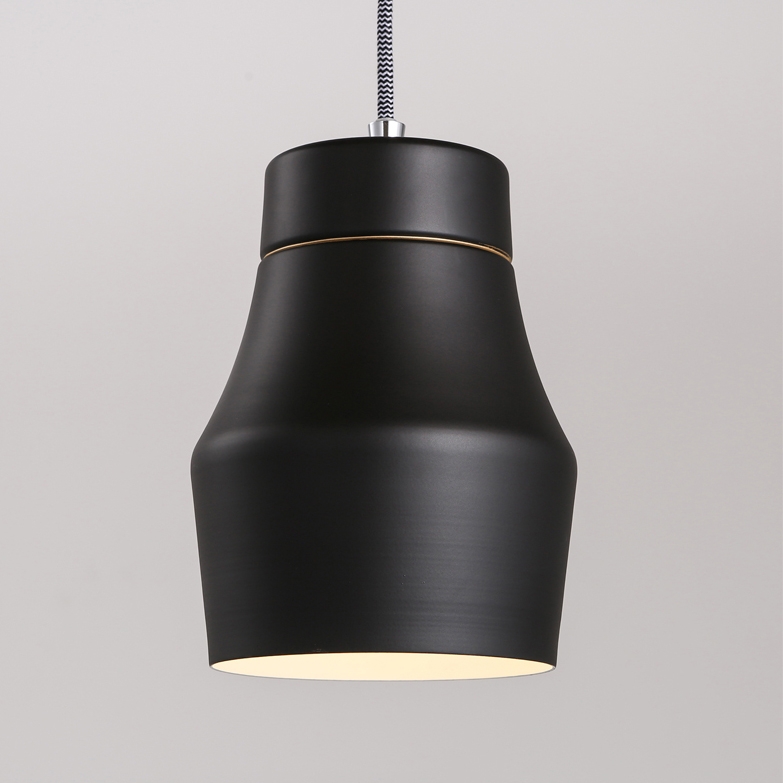 

Contemporary Single Light Hanging Pendant Light Fixture in Black