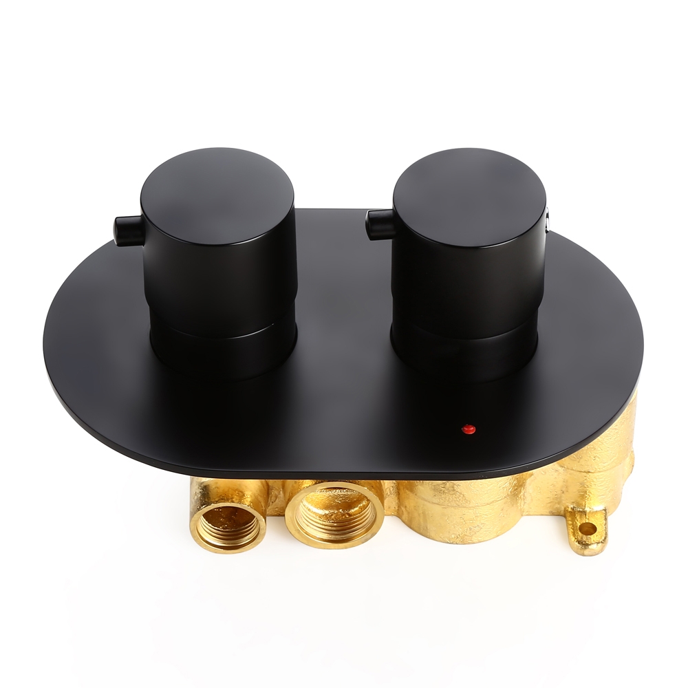 

Modern Round Dual-Function Thermostatic 2 Outlets Shower Valve in Matte Black