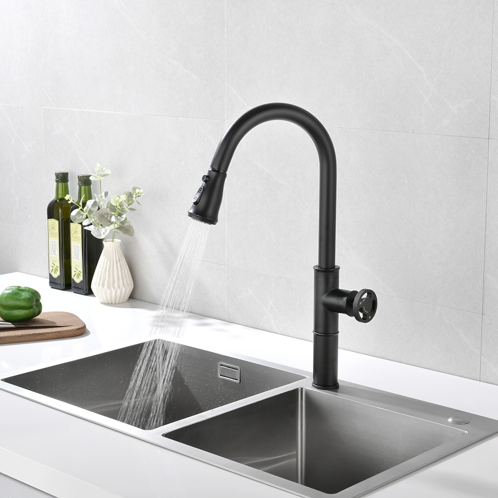 

Ruth Industrial Pipe Matte Black Pull Out Kitchen Sink Faucet Dual Functions 1-Handles Solid Brass