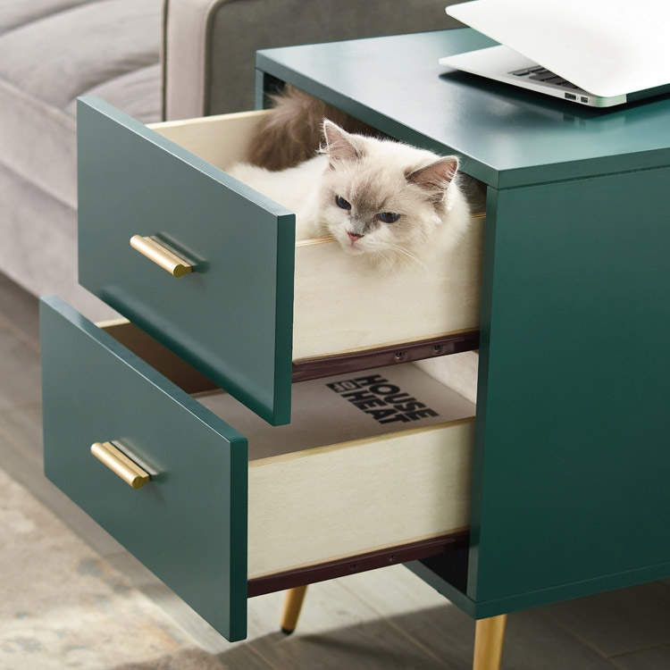 Green End Table with Storage Living Room Side Table 2 Drawer & Open Storage