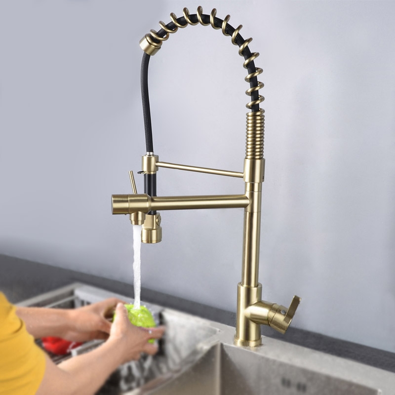 Pull Out Double Spout Kitchen Faucet Brushed Gold Double Function Sprayer Solid Brass