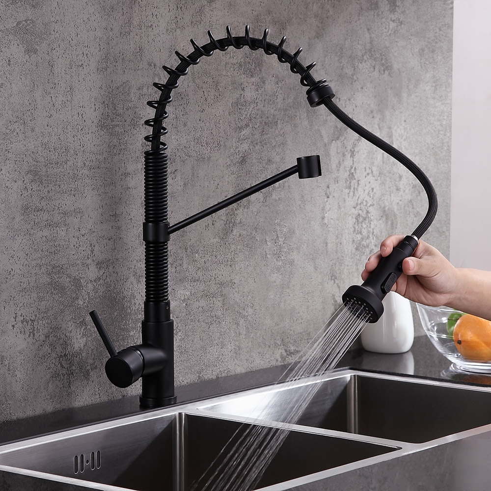 

Contemporary Single Handle Dual Function Pull-Out Kitchen Faucet in Matte Black