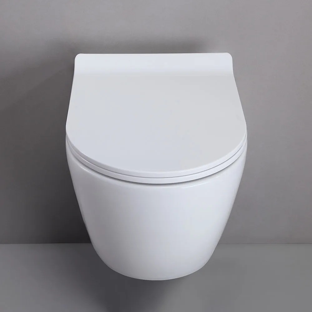 Modern One-piece 1.1/1.6 Gpf Dual Flush Wall Hung Elongated Toilet Bowl Only In White Custom Height Seat Included