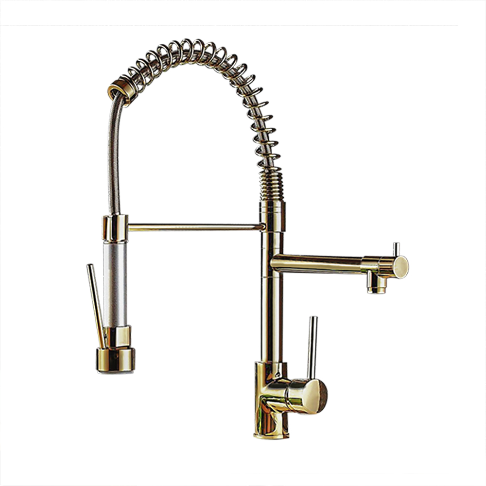 Brewst Luxury Pull Out Sprayer Double Spout Kitchen Mixer Tap Monobloc