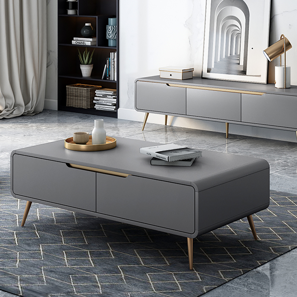 

Modern Rectangle-shaped Coffee Table with Storage in Gray