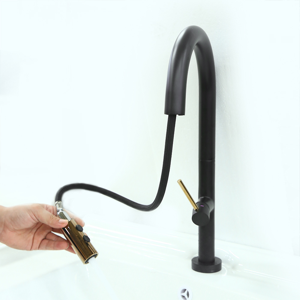 Simple Touch Pull Down Kitchen Tap with Dual Function Single Lever Handle Black & Gold