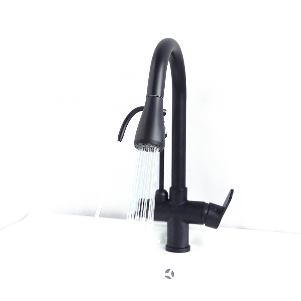 Water Filter Kitchen Tap Pull Out Tap in Matte Black Swivel Tap Solid