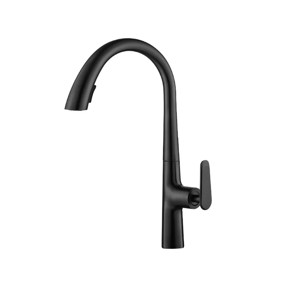 Black Dual Function Pull-Out Kitchen Faucet Solid Brass Single Hole Single Handle