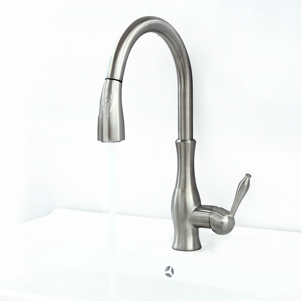 Tracier Gooseneck Single Lever Handle Kitchen Tap with Pull Out Spray