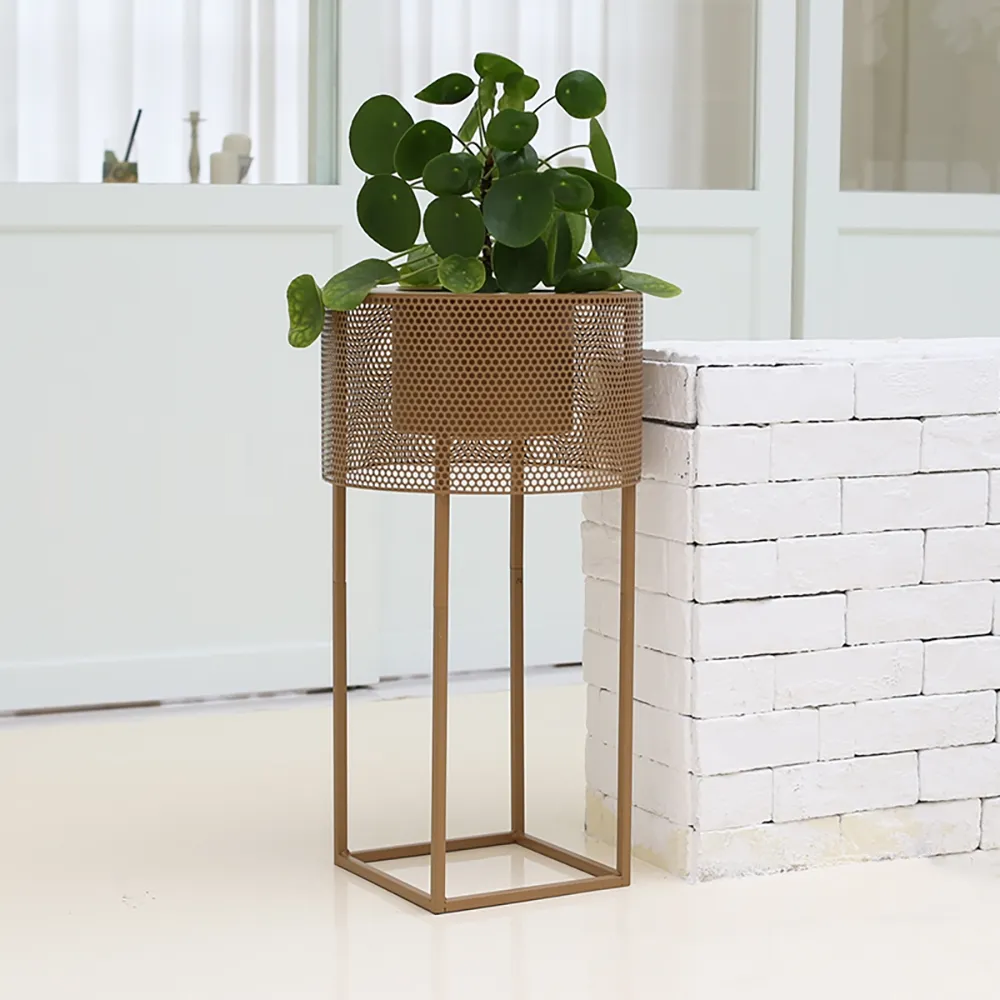 Gold Big Round Wire Mesh Planter Stand With Square Stand Metal