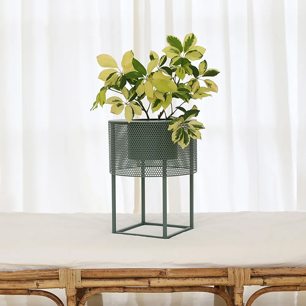 Green Small Round Wire Mesh Planter Stand With Square Stand Metal