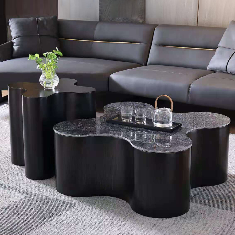 

Contemporary Artistic Irregular Black Coffee Table & Side Table Set of 2