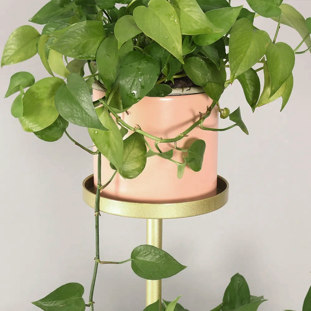 Metal Plant Stand 4-Shelf Gold Plant Pot Stand for Indoor in Large