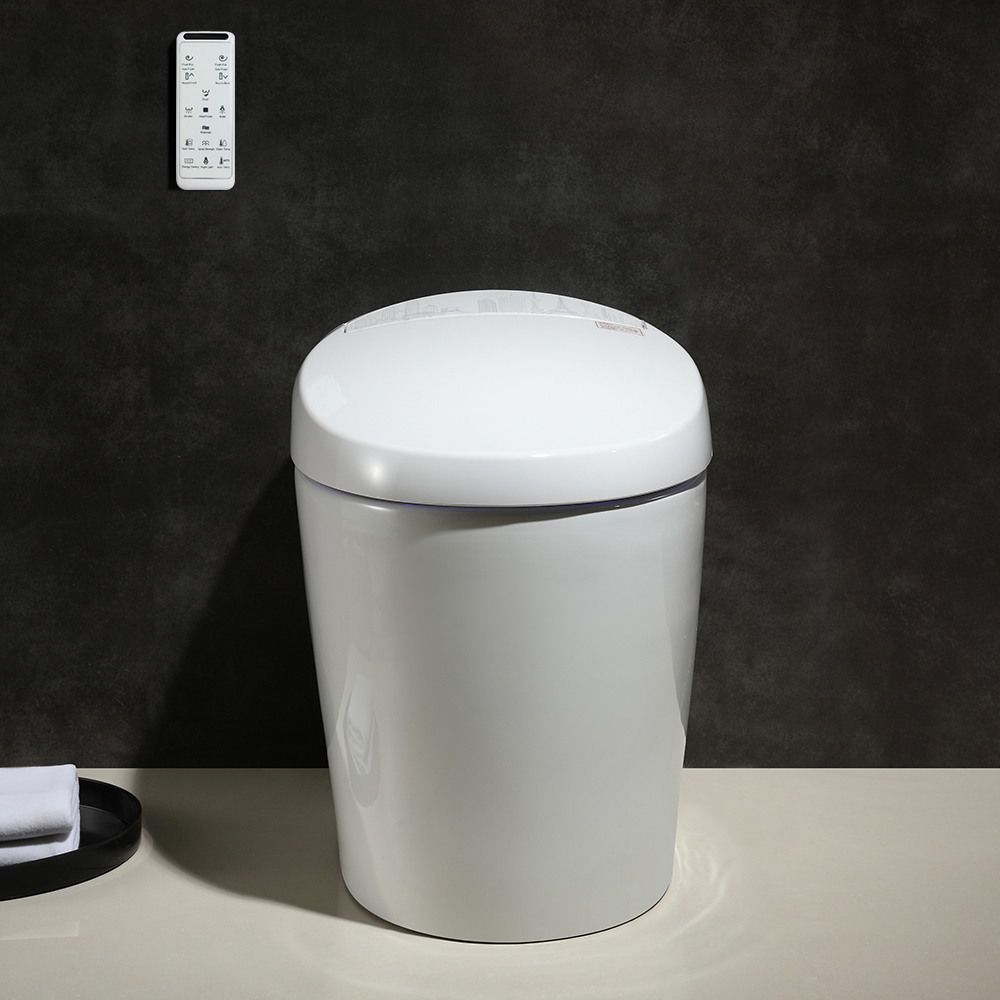 Smart One-Piece Floor Mounted Toilet and Bidet Foot Induction and ...