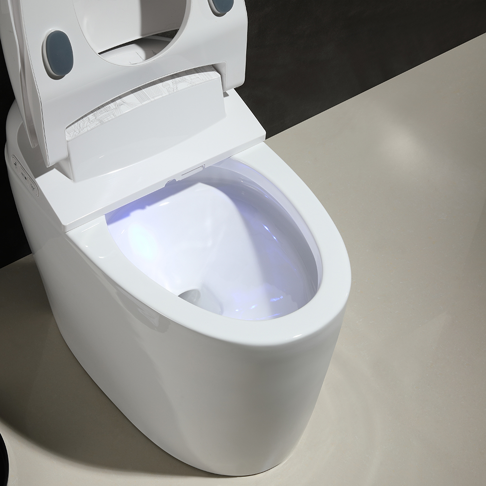 Smart One-Piece Floor Mounted Toilet and Bidet Foot Induction and ...