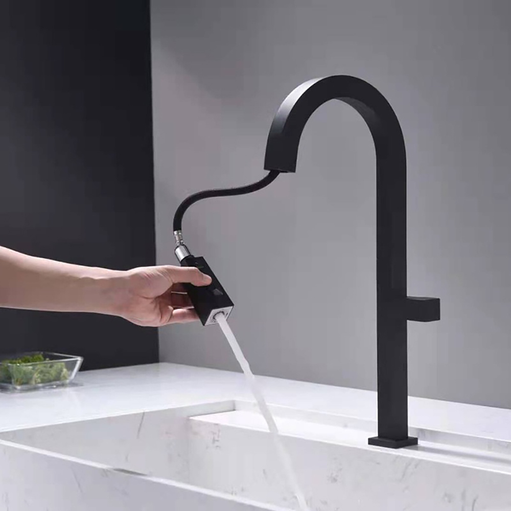 Single Hole Pullout Gooseneck Kitchen Faucet Dual Functions in Black