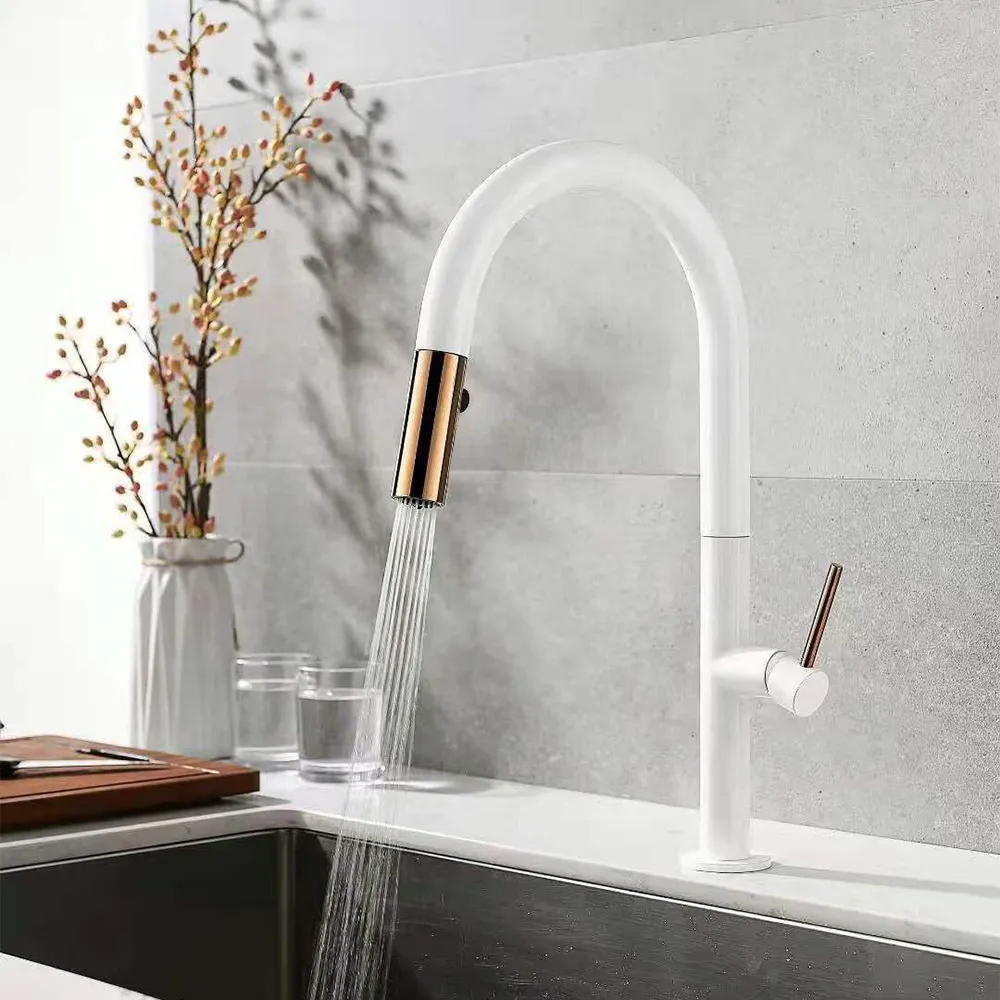 

Dual-Function Single Handle Pull-Out Sprayer Single Hole Goose Neck Kitchen Faucet
