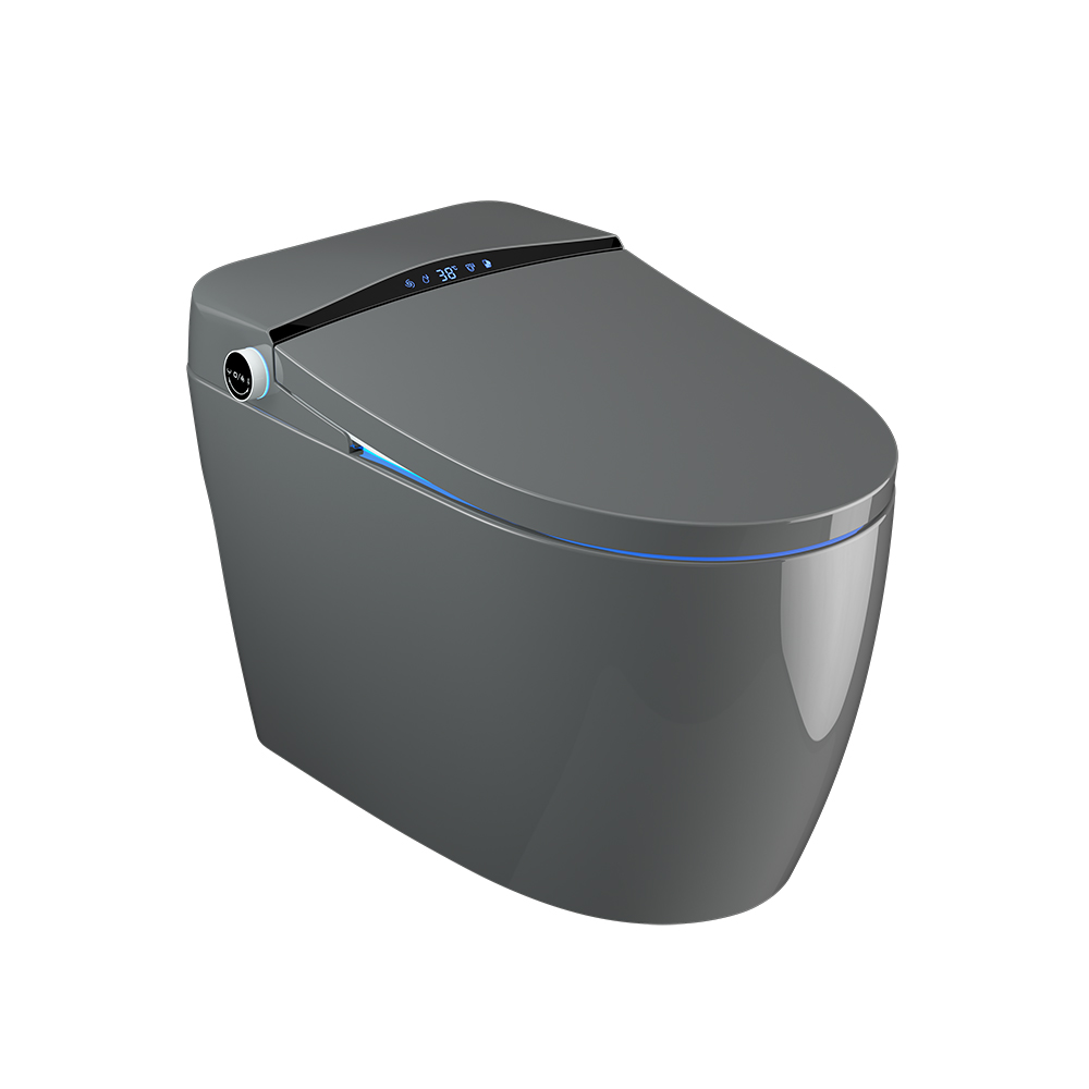 OnePiece Elongated Smart Toilet Floor Mounted Automatic Toilet Self