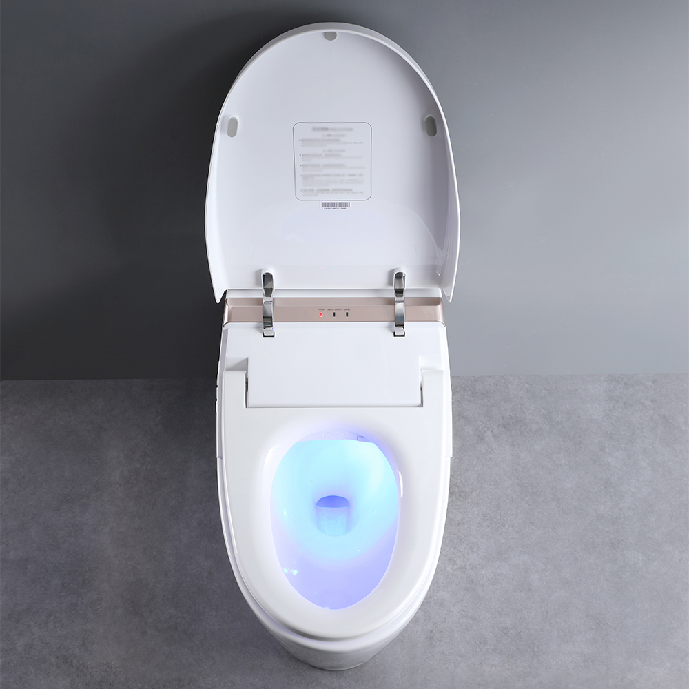 OnePiece Elongated Smart Toilet Floor Mounted Automatic Toilet Self