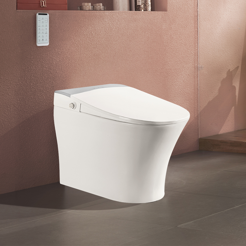 

Automatic Toilet One-Piece Floor Mounted Smart Toilet Self-clean