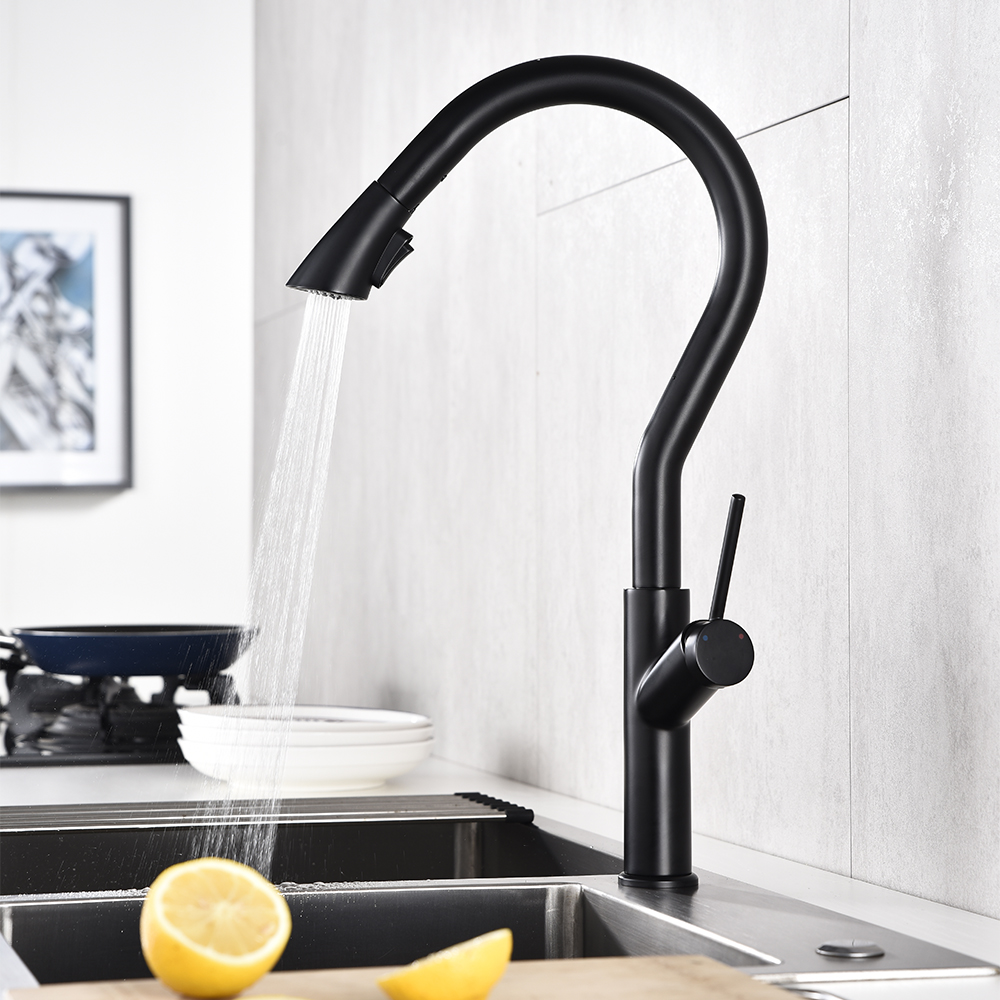 

Single Hole 1-Handle Kitchen Faucet Pull-out Spout in Black