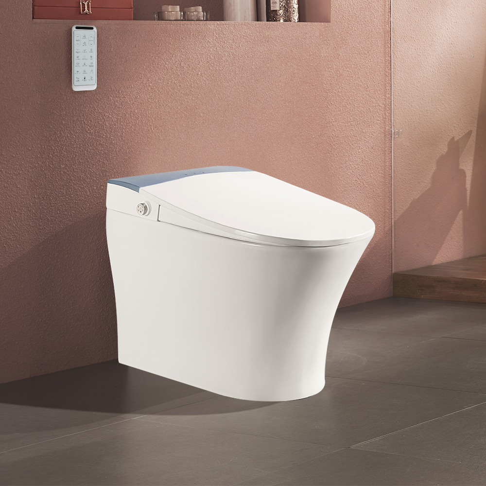 

Automatic Toilet One-Piece Floor Mounted Smart Toilet Self-clean