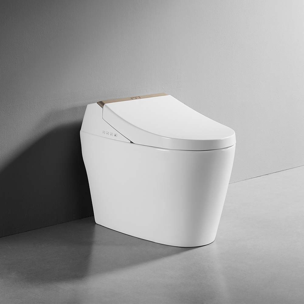 

One-Piece Elongated Smart Toilet Floor Mounted Automatic Toilet Self-Clean