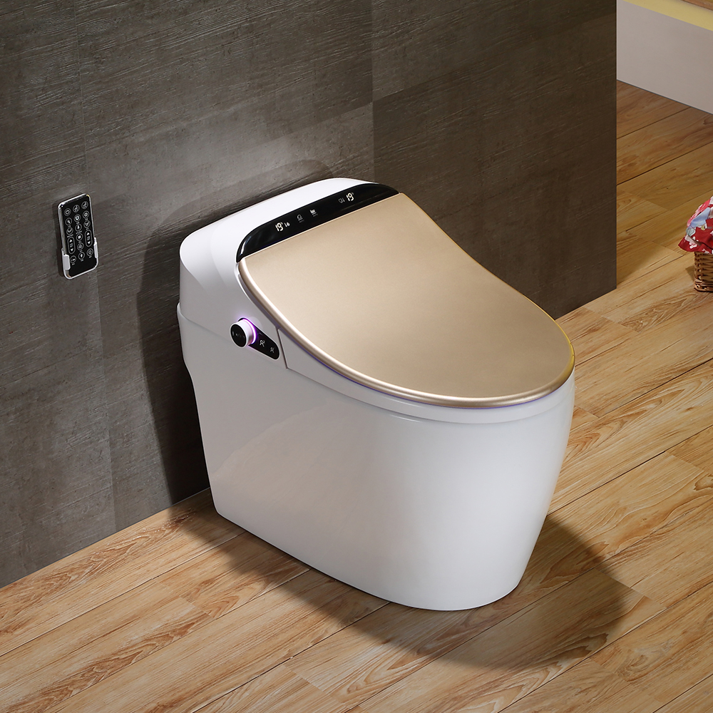 

Modern Smart One-Piece 1.27 GPF Floor Mounted Elongated Toilet and Bidet with Seat