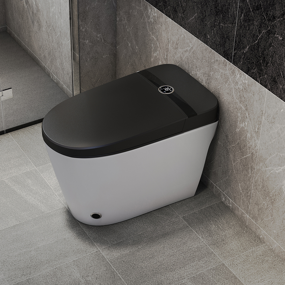 bianco smart toilet