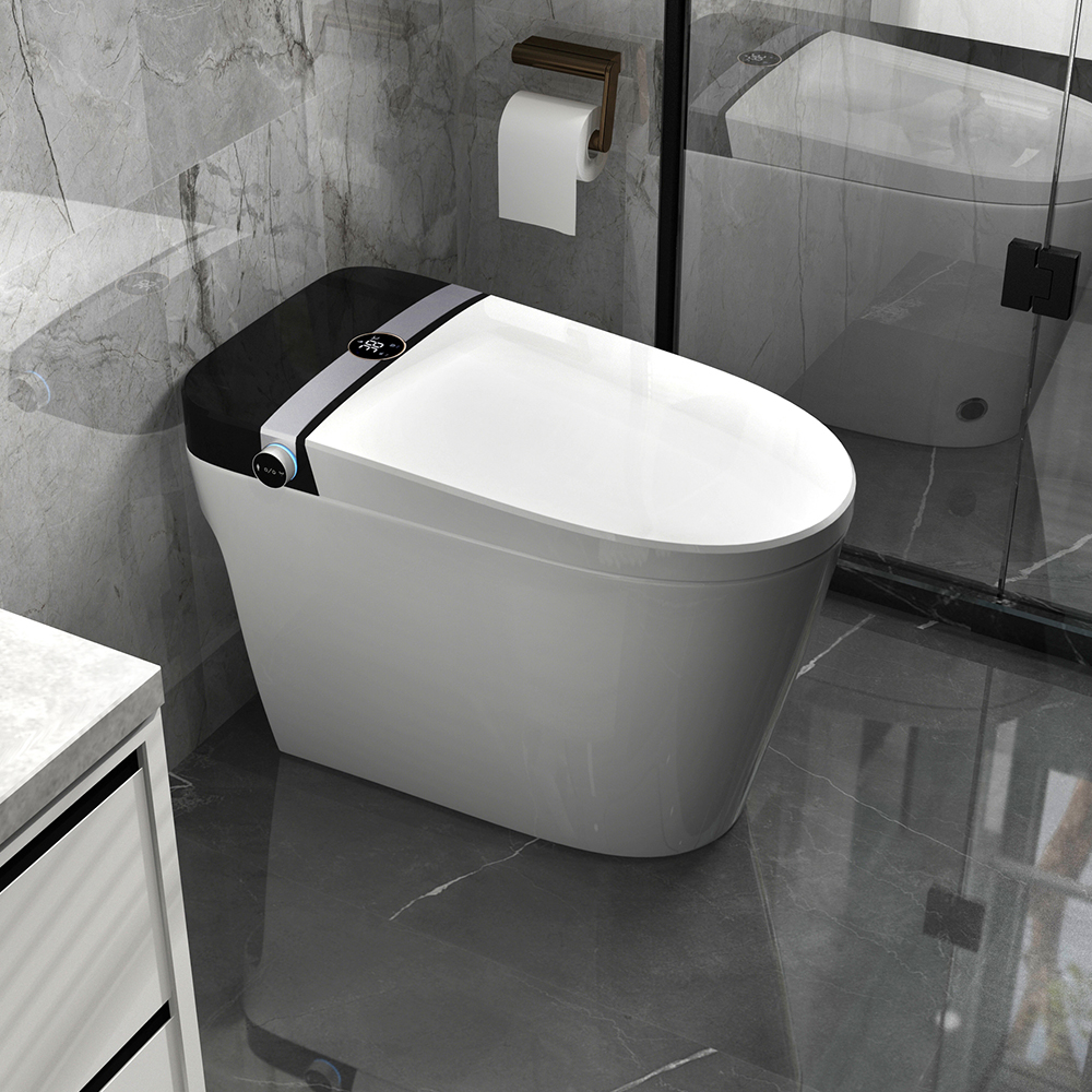 Elongated One-piece Smart Toilet Floor Mounted Automatic Toilet In Silver & Black