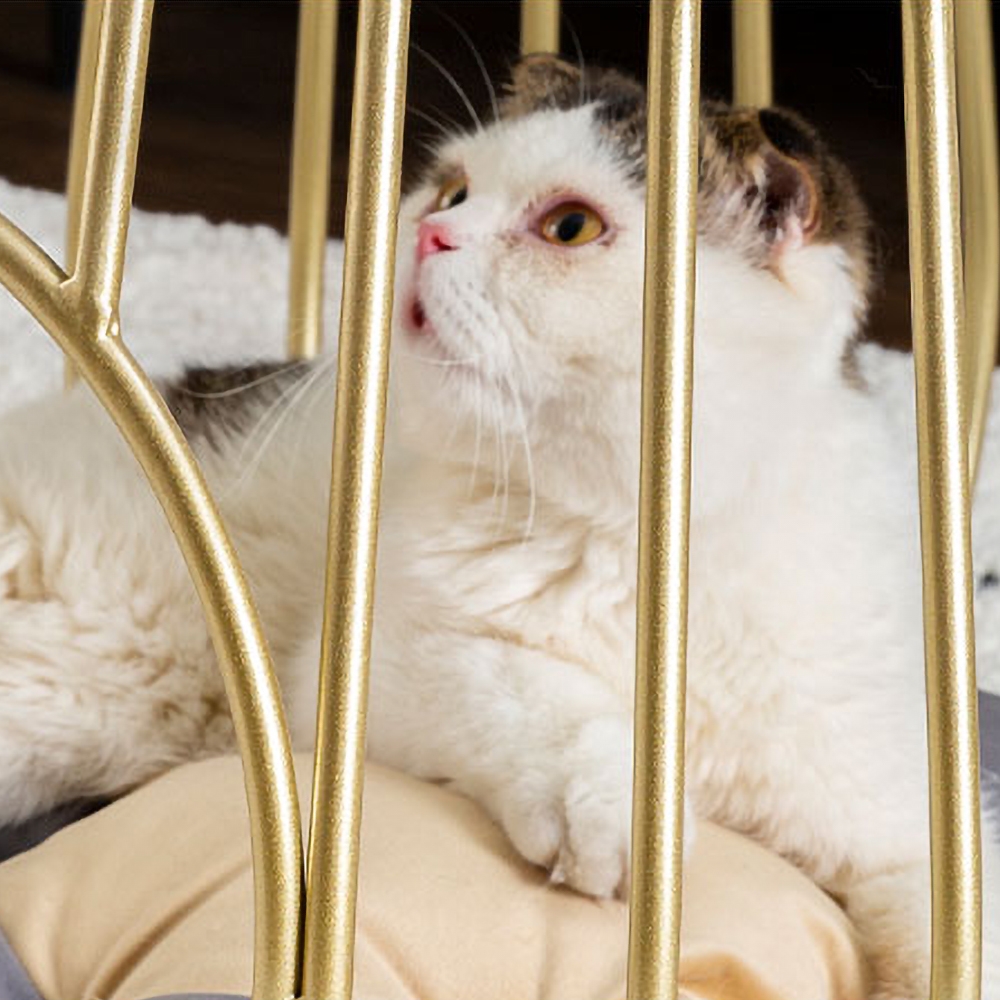 Modern White Side Table Faux Marble End Table with Round Tabletop Cat Bed