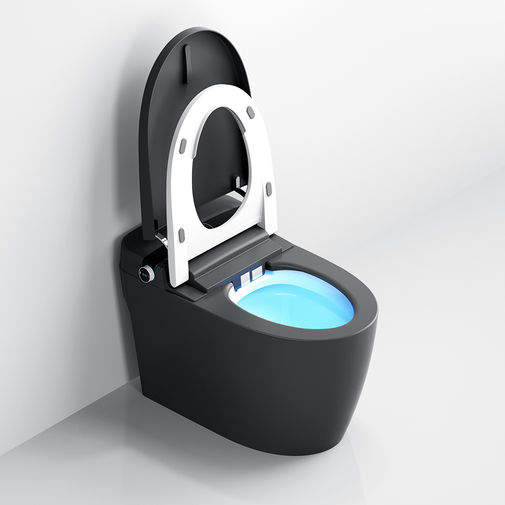 Elongated One-Piece Smart Toilet Floor Mounted Automatic Toilet in Black