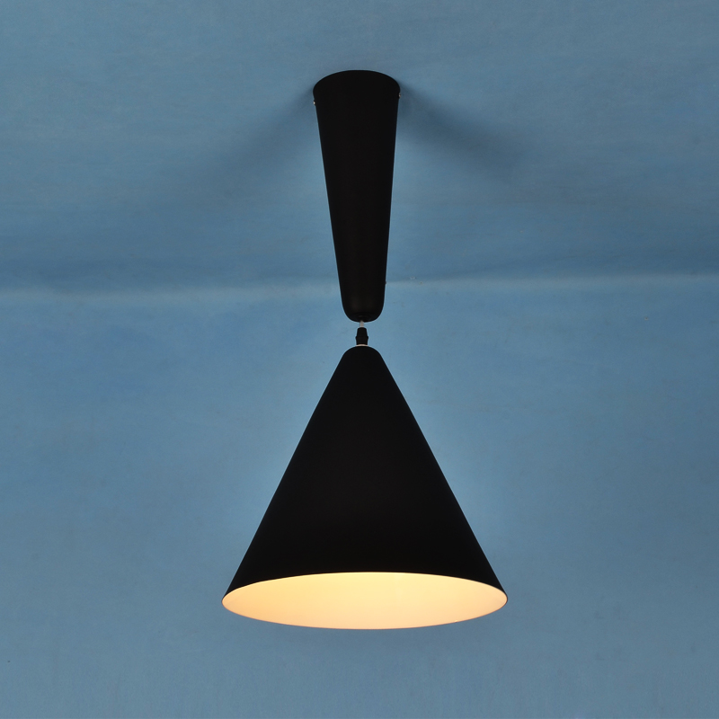 

Hoiset Conical Aluminum Pendant Light in Black