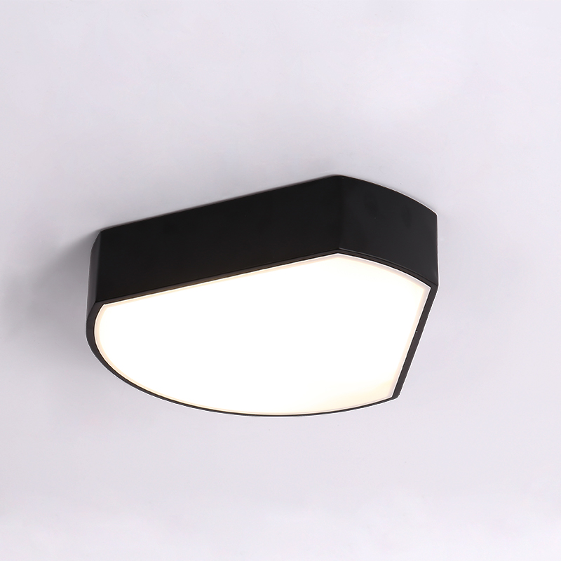 

Modern LED Geometric Acrylic Shade Black Fan Metal Flush Mount Ceiling Light