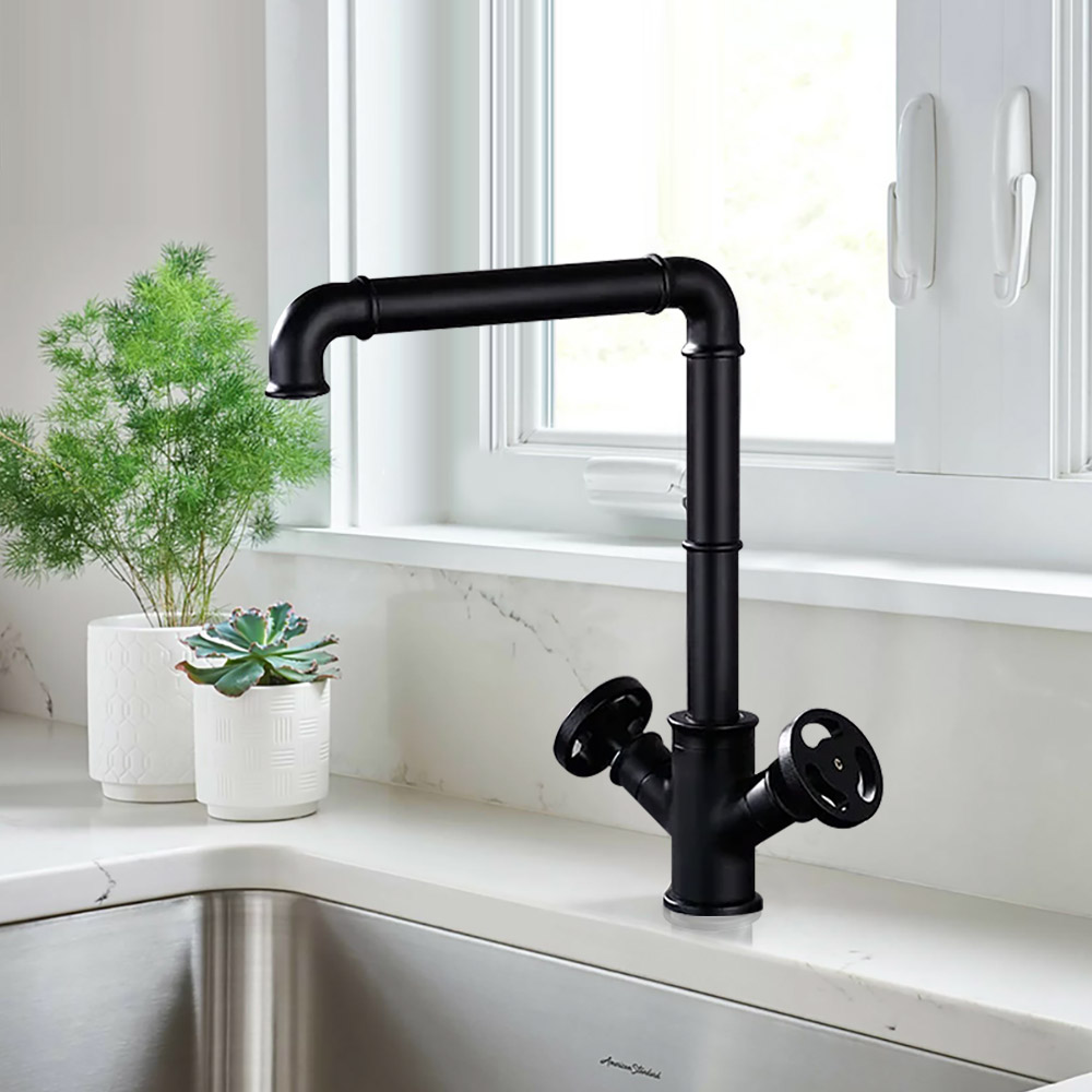 Ruth Industrial Matte Black Monobloc Kitchen Tap Brass Dual Knob Handle