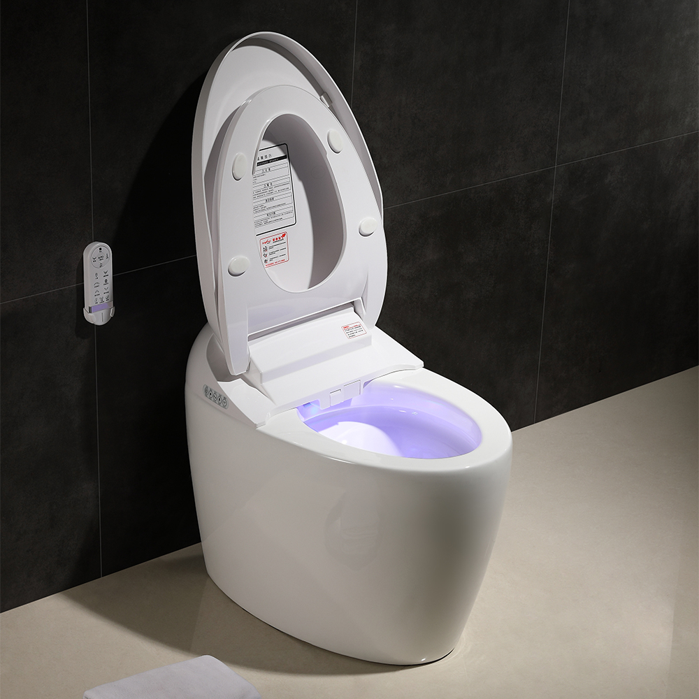 Modern Smart OnePiece Toilet & Bidet Foot Induction & Automatic