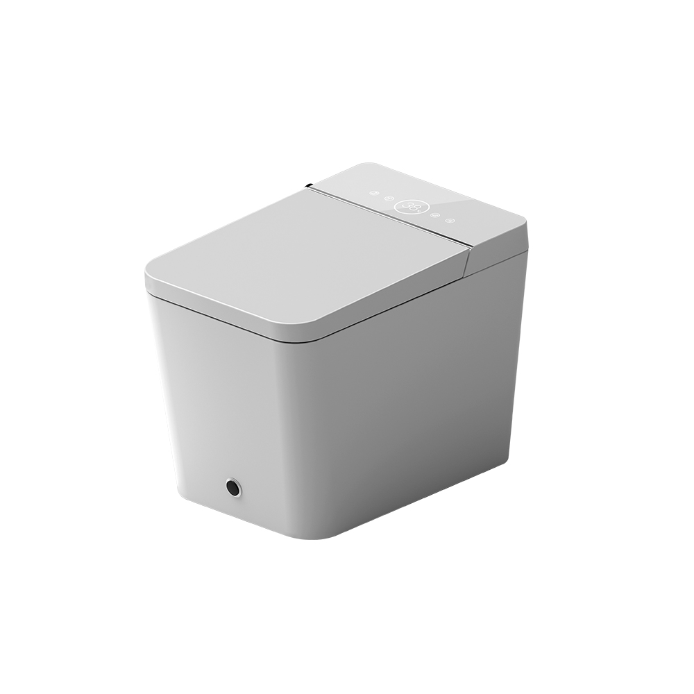 Smart One-Piece Floor Square Toilet with Remote Control and Automatic Cover in White 